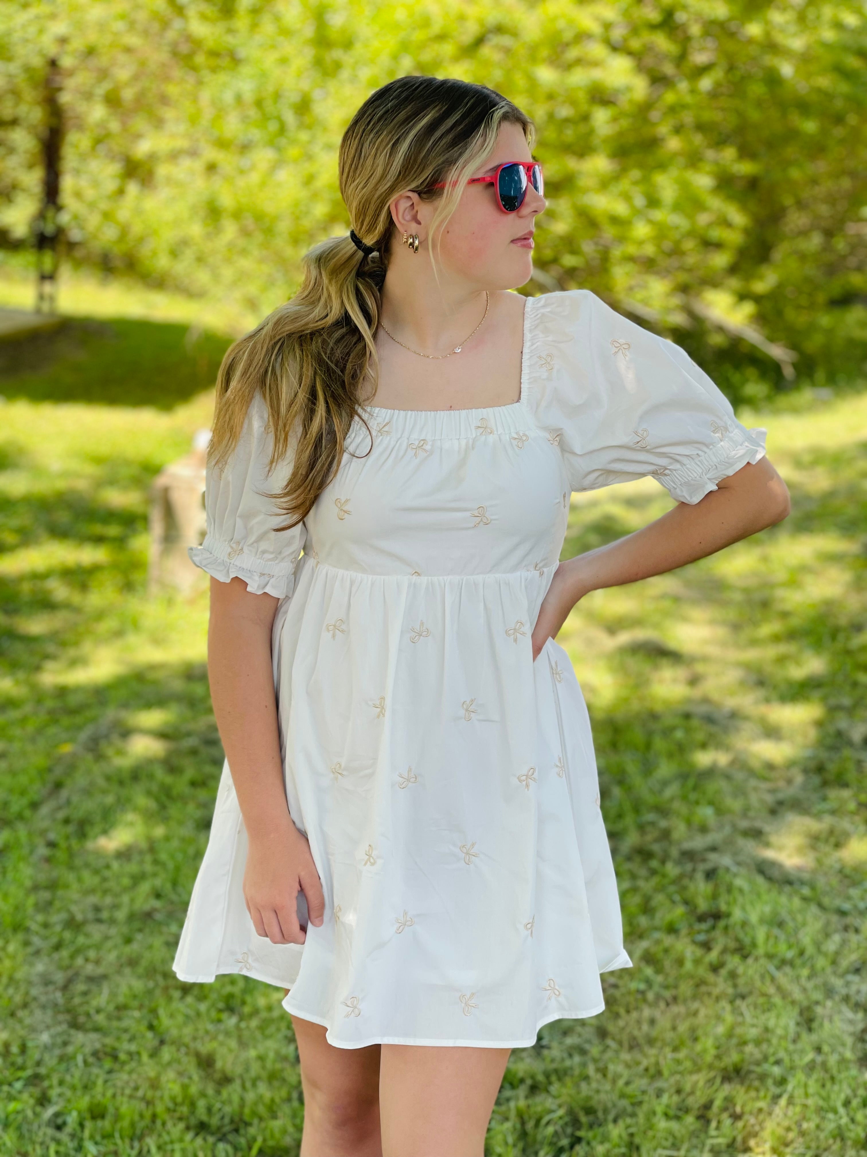 Cadence Embroidered Bow Dress