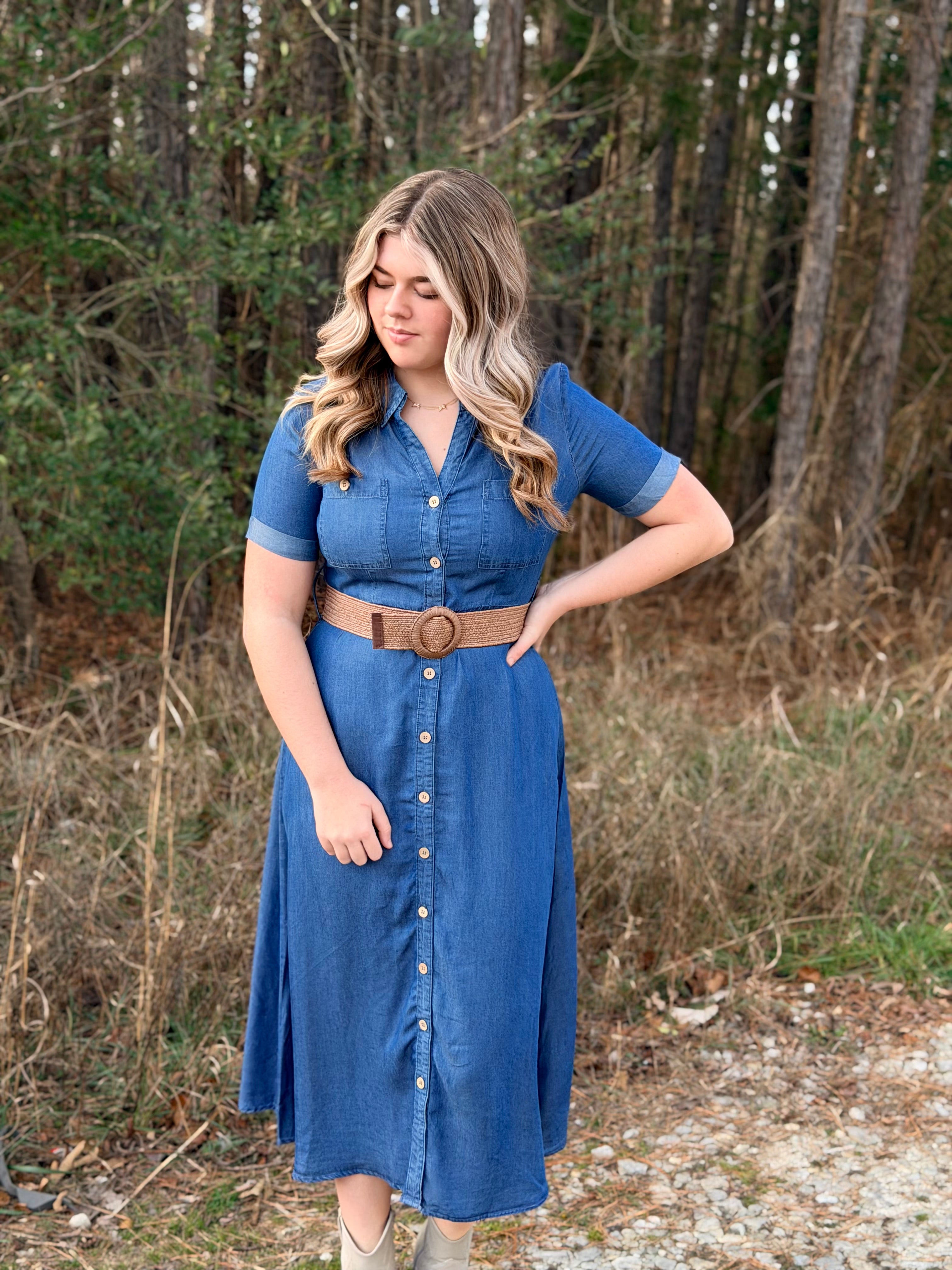 Indy Collared Denim Dress