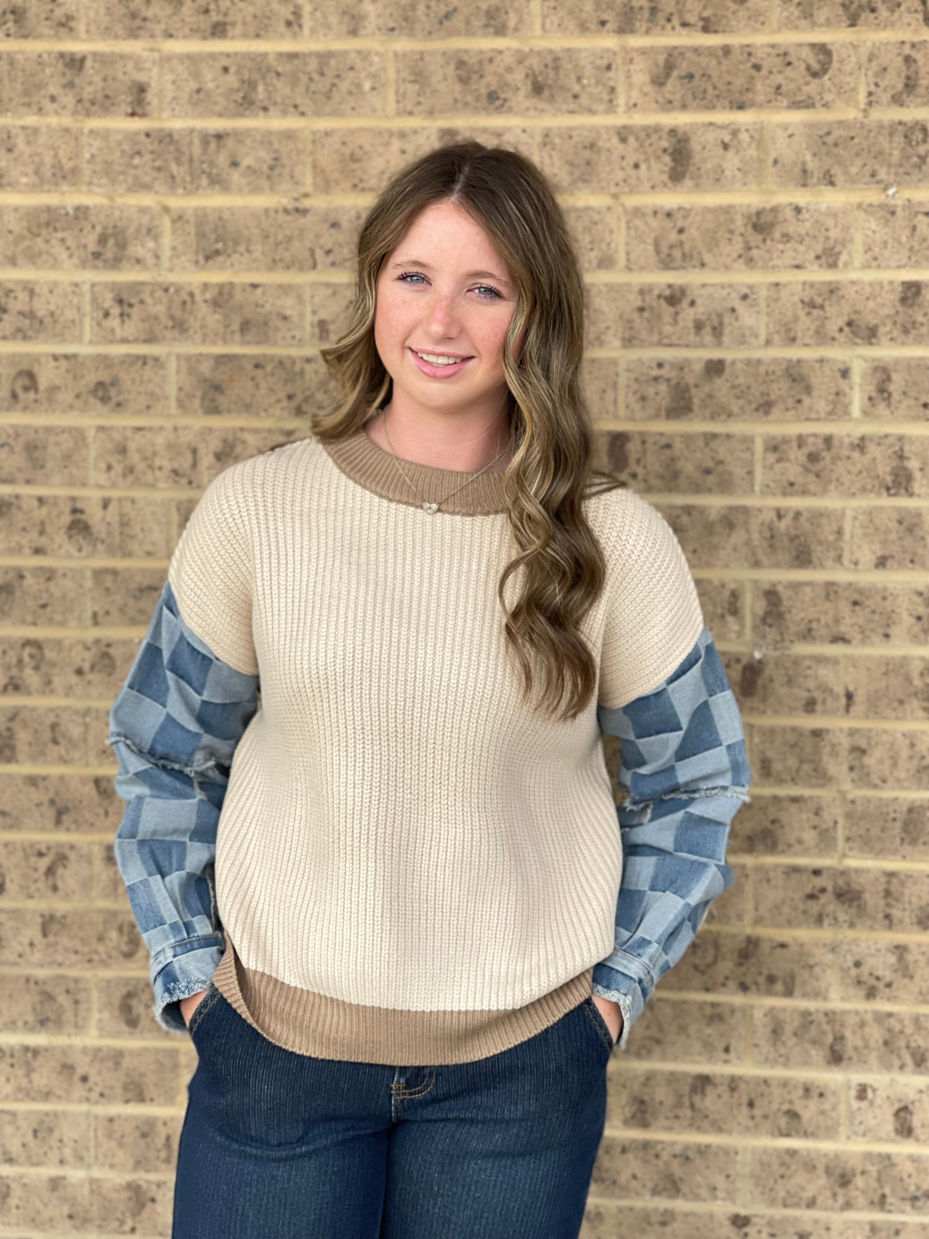 Charlotte Denim Sleeve Sweater