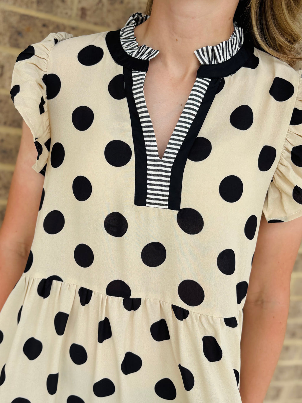 Reese Polka Dot Dress