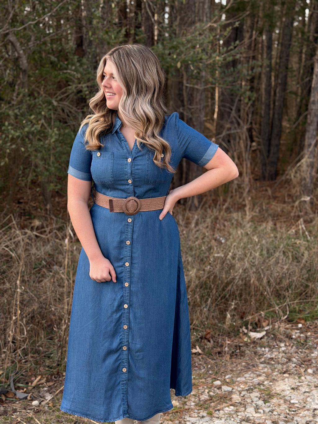 Indy Collared Denim Dress