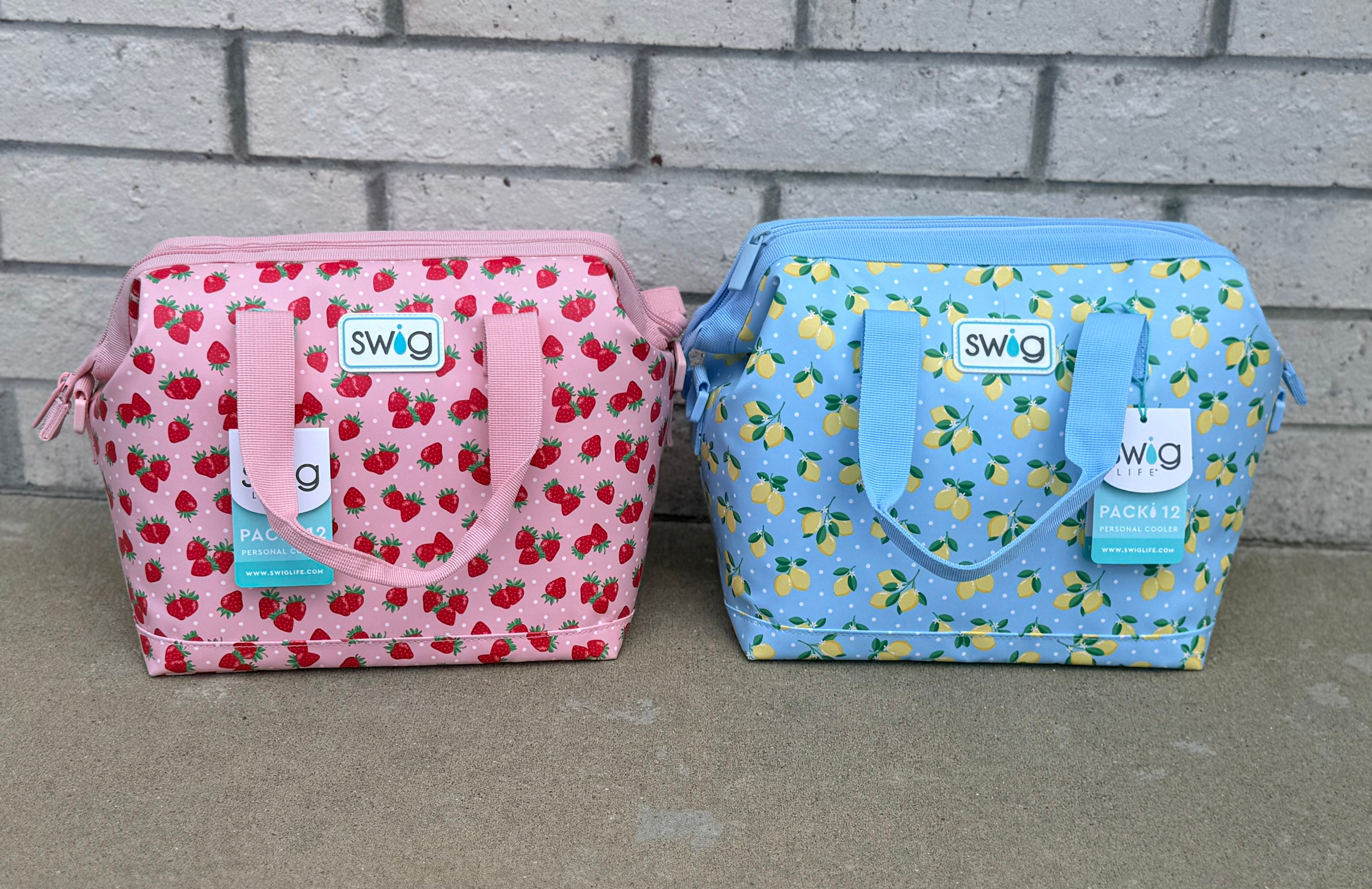 Swig Packi 12 Cooler