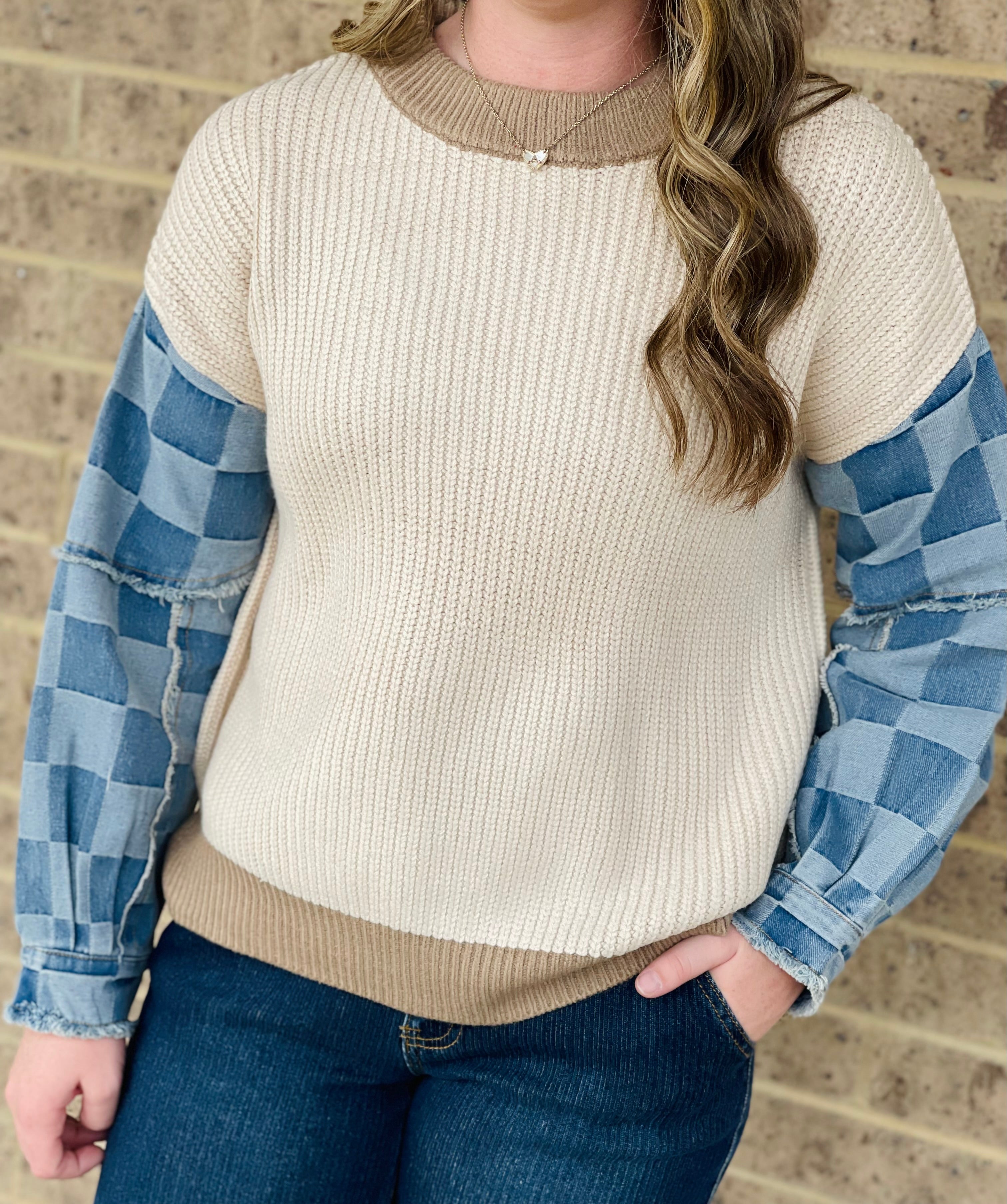 Charlotte Denim Sleeve Sweater
